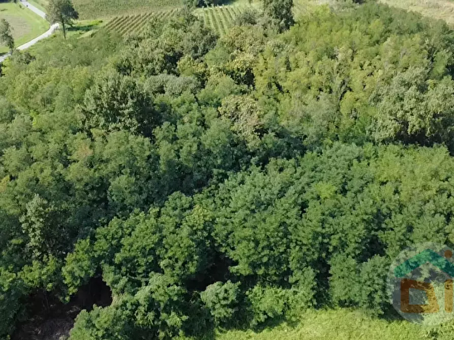 Immagine 3 di Terreno in vendita  in Via IV Novembre a Mossa