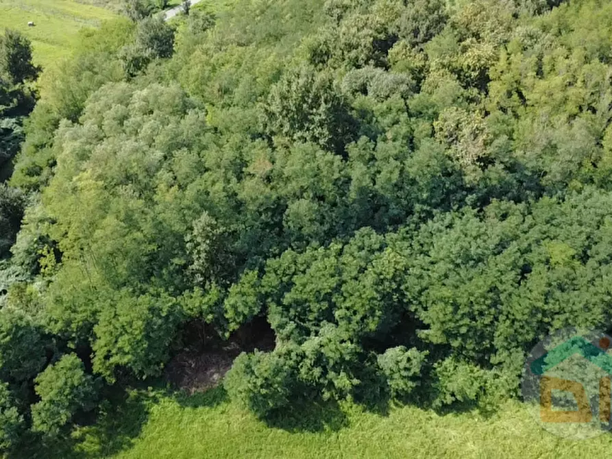 Immagine 4 di Terreno in vendita  in Via IV Novembre a Mossa