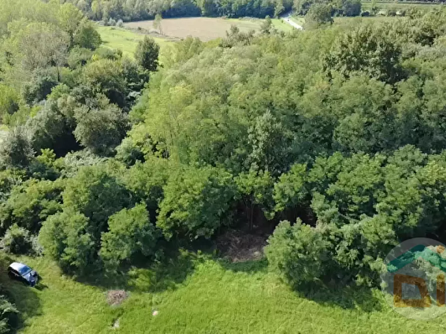 Immagine 6 di Terreno in vendita  in Via IV Novembre a Mossa