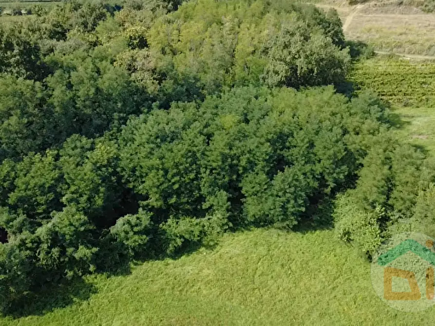 Immagine 7 di Terreno in vendita  in Via IV Novembre a Mossa