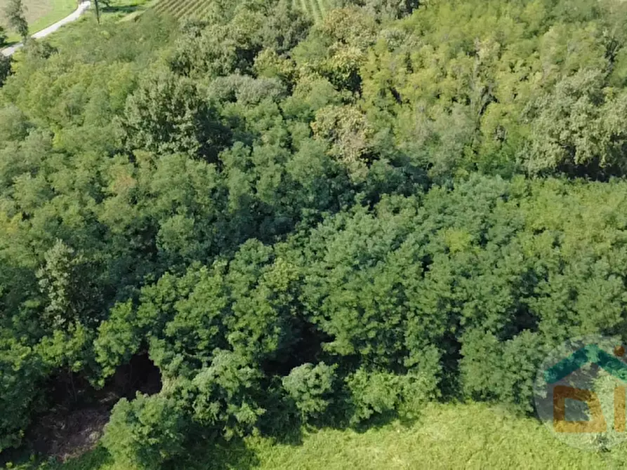 Immagine 8 di Terreno in vendita  in Via IV Novembre a Mossa