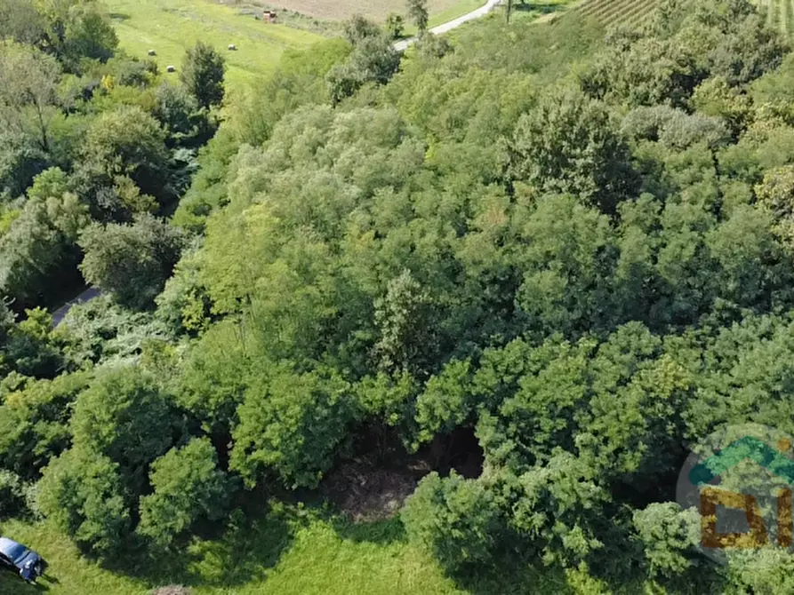 Immagine 9 di Terreno in vendita  in Via IV Novembre a Mossa