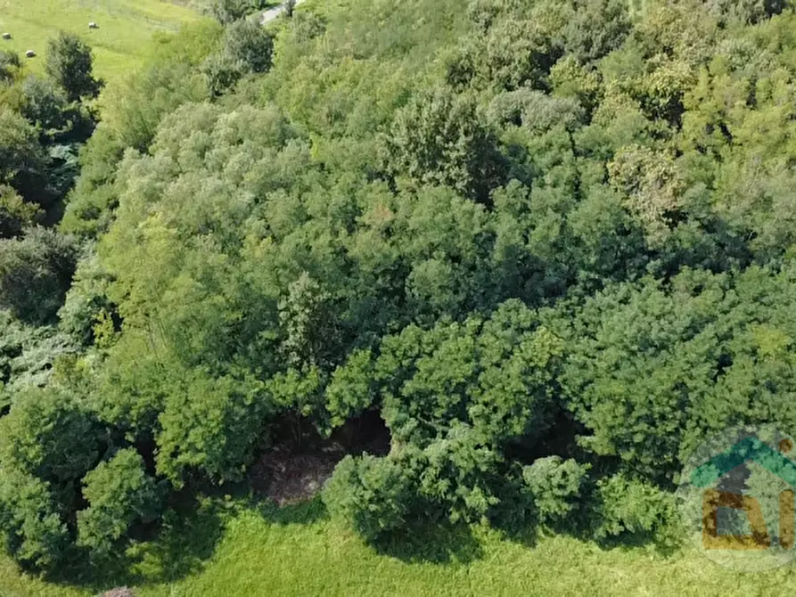 Immagine 10 di Terreno in vendita  in Via IV Novembre a Mossa