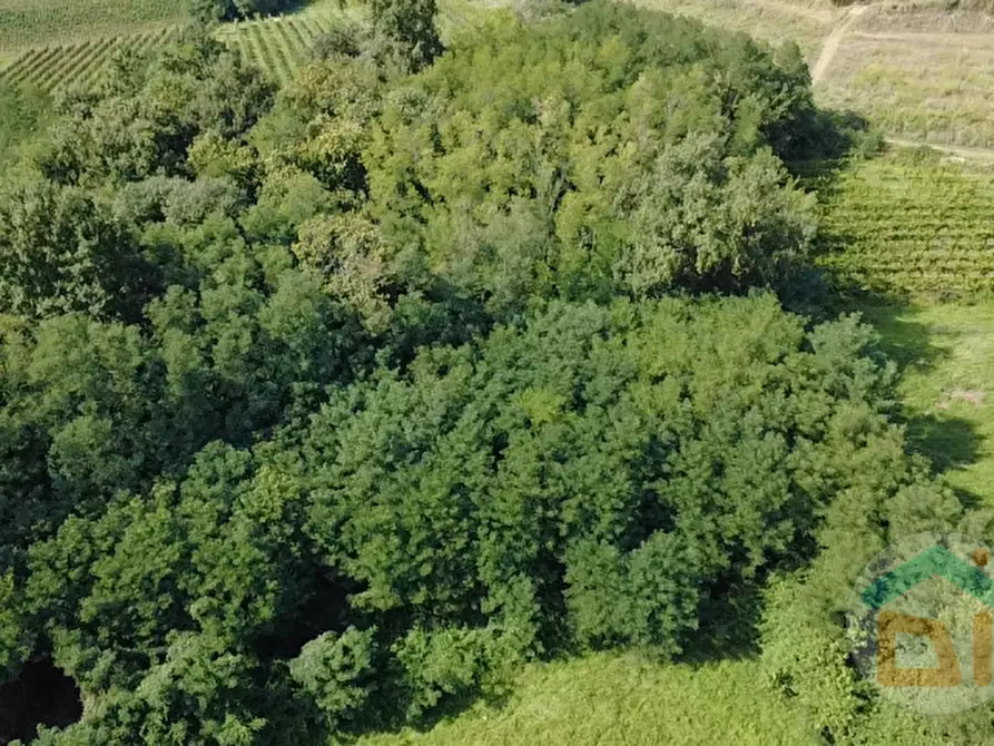 Immagine 11 di Terreno in vendita  in Via IV Novembre a Mossa