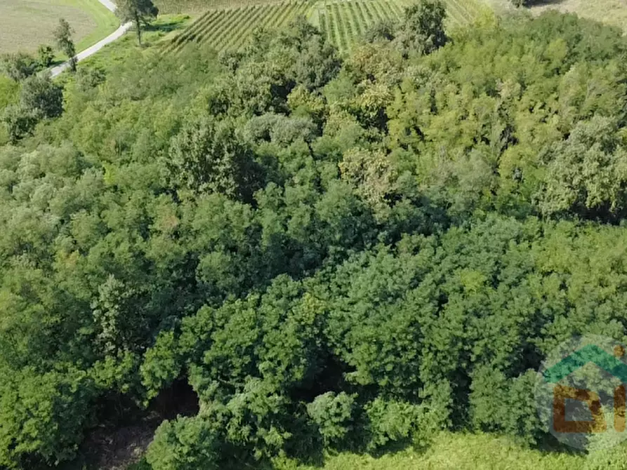Immagine 12 di Terreno in vendita  in Via IV Novembre a Mossa