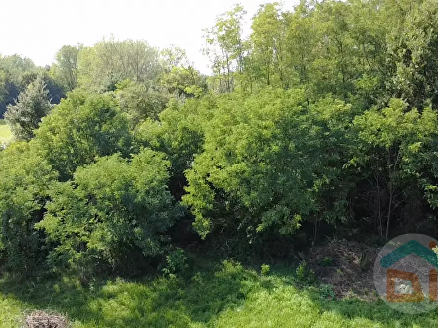 Immagine 13 di Terreno in vendita  in Via IV Novembre a Mossa