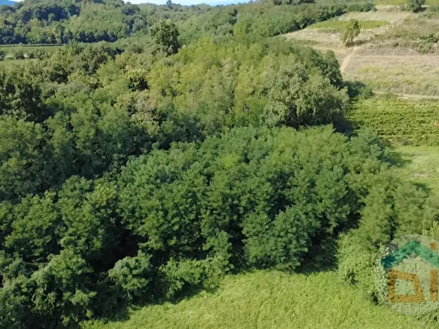 Immagine 14 di Terreno in vendita  in Via IV Novembre a Mossa