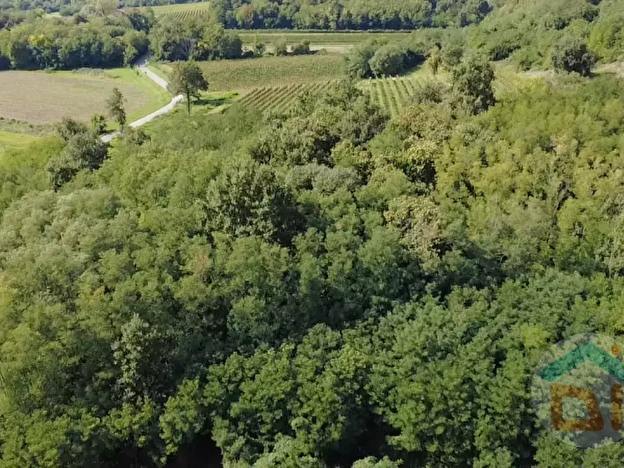 Immagine 15 di Terreno in vendita  in Via IV Novembre a Mossa