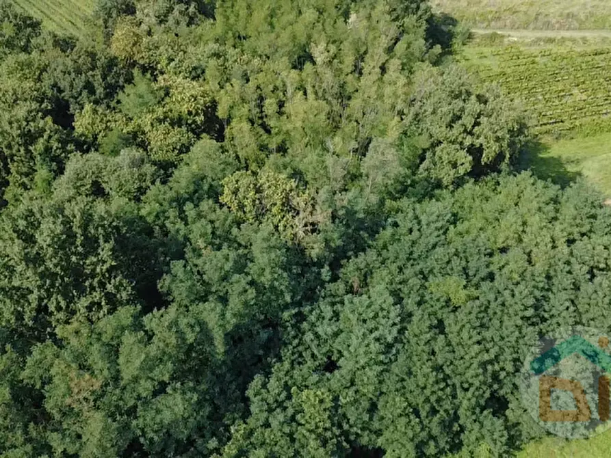 Immagine 16 di Terreno in vendita  in Via IV Novembre a Mossa