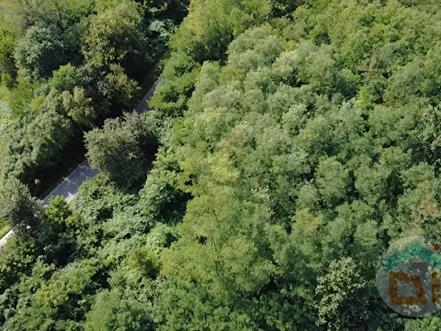 Immagine 17 di Terreno in vendita  in Via IV Novembre a Mossa