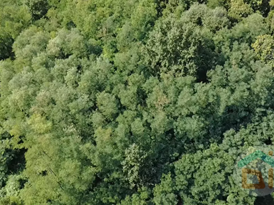 Immagine 18 di Terreno in vendita  in Via IV Novembre a Mossa