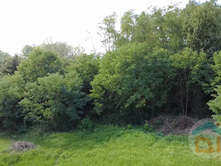 Immagine 19 di Terreno in vendita  in Via IV Novembre a Mossa