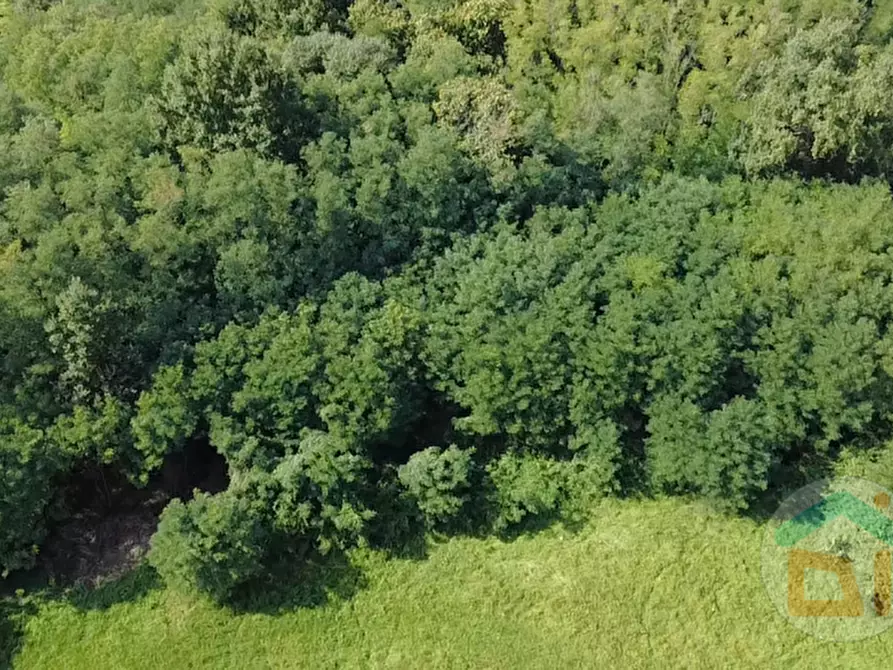 Immagine 20 di Terreno in vendita  in Via IV Novembre a Mossa