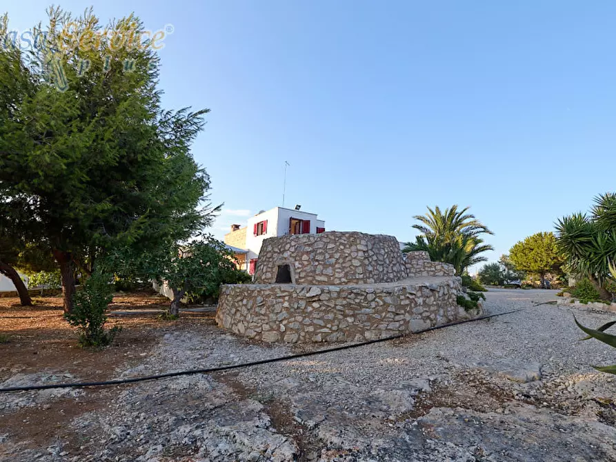 Immagine 8 di Villa in vendita  in Via Goffredo Mameli a Racale