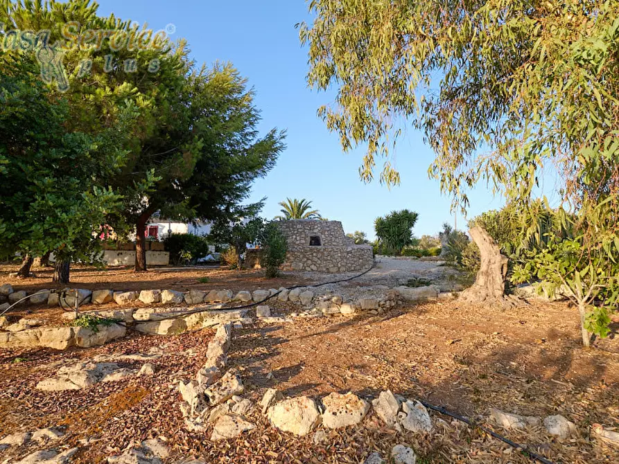 Immagine 10 di Villa in vendita  in Via Goffredo Mameli a Racale