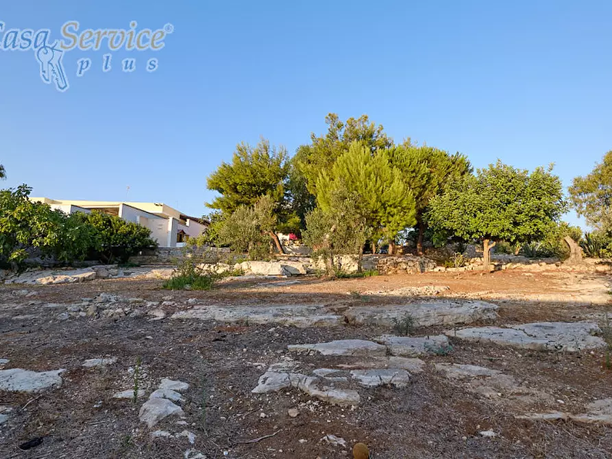 Immagine 11 di Villa in vendita  in Via Goffredo Mameli a Racale