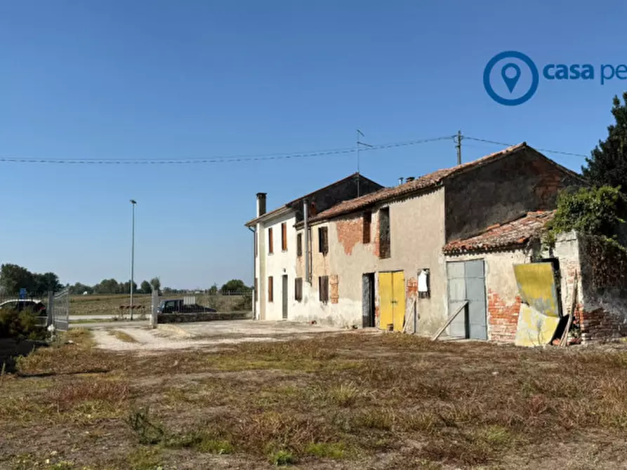 Immagine 11 di Casa indipendente in vendita  in Via Quirina 346 a Arqua' Polesine