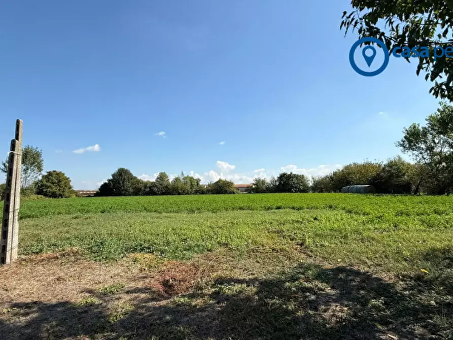 Immagine 14 di Casa indipendente in vendita  in Via Quirina 346 a Arqua' Polesine