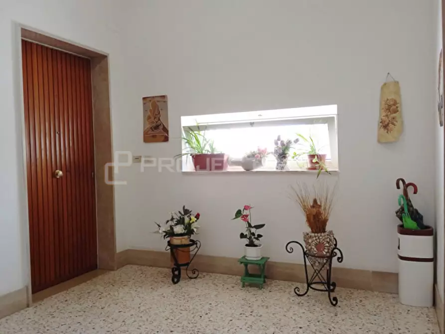 Immagine 10 di Appartamento in vendita  in via Ettore D'Amore 5 a Scorrano