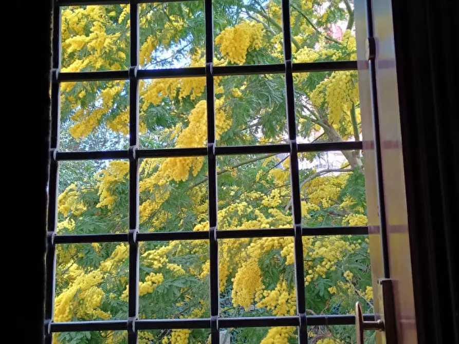 Immagine 9 di Appartamento in vendita  in Contrà Santa Caterina, a Vicenza