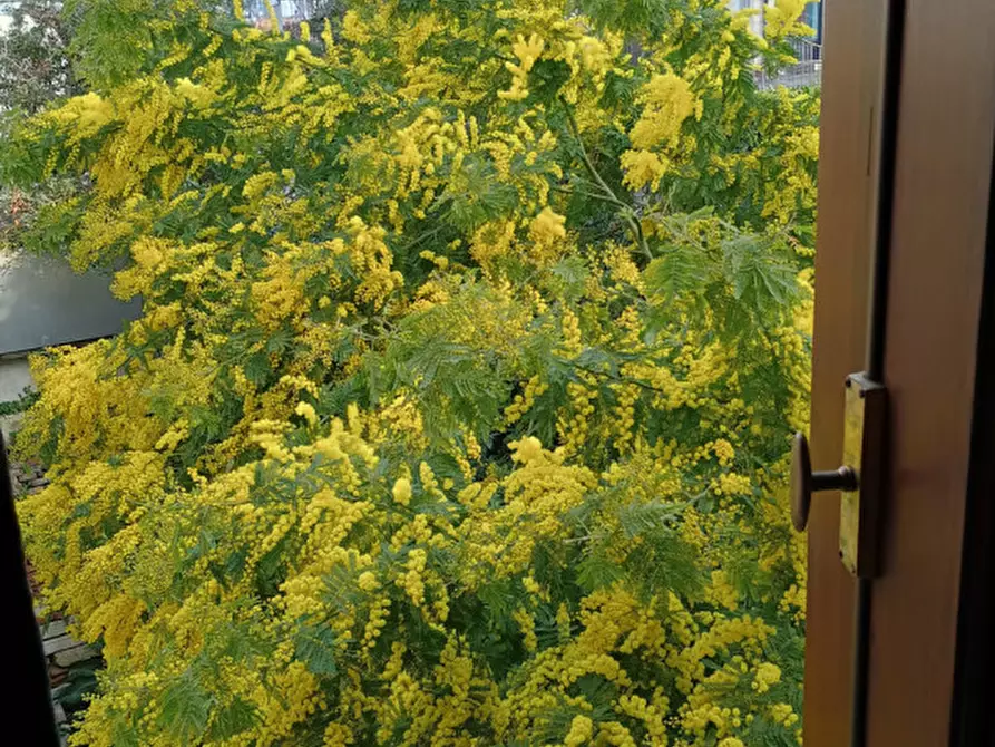 Immagine 25 di Appartamento in vendita  in Contrà Santa Caterina, a Vicenza