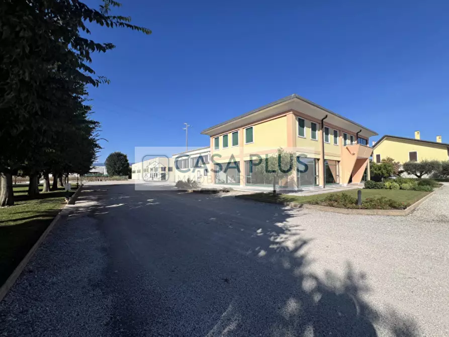 Immagine 3 di Capannone industriale in affitto  a Tezze Sul Brenta