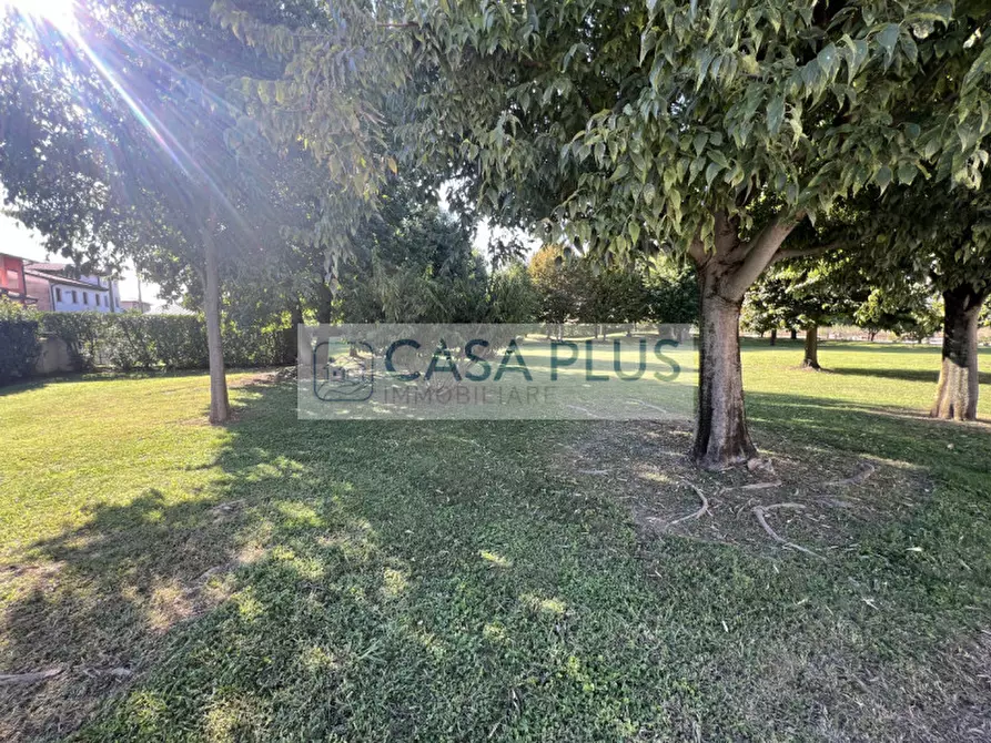 Immagine 12 di Capannone industriale in affitto  a Tezze Sul Brenta