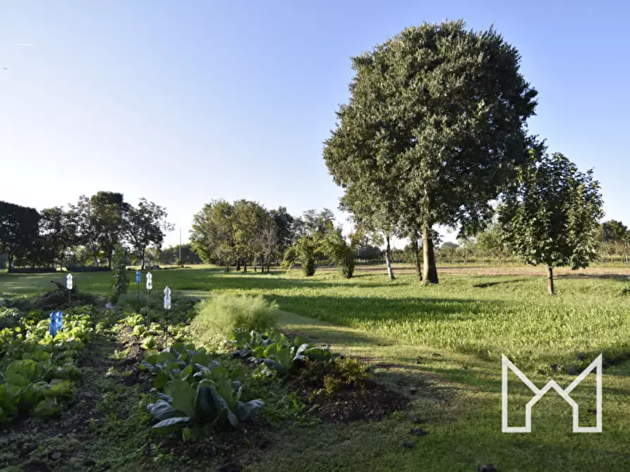 Immagine 7 di Casa bifamiliare in vendita  a Loria