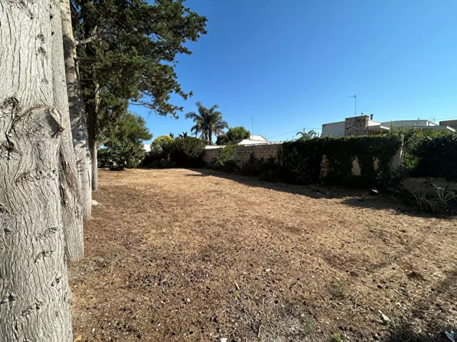 Immagine 7 di Appartamento in vendita  in VIA SQUINZANO, 64 a Squinzano