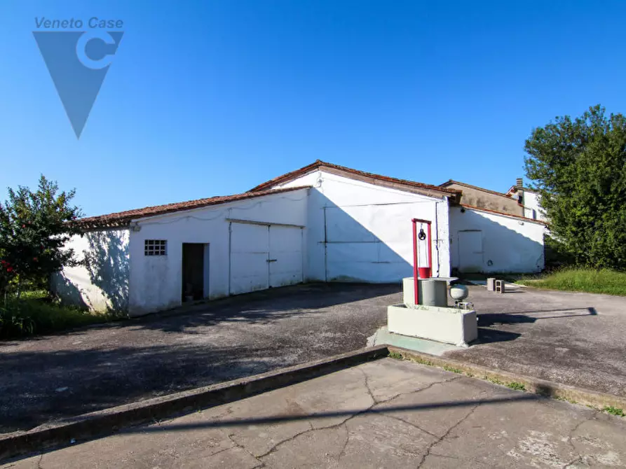 Immagine 4 di Casa indipendente in vendita  in Via Roma a Codevigo
