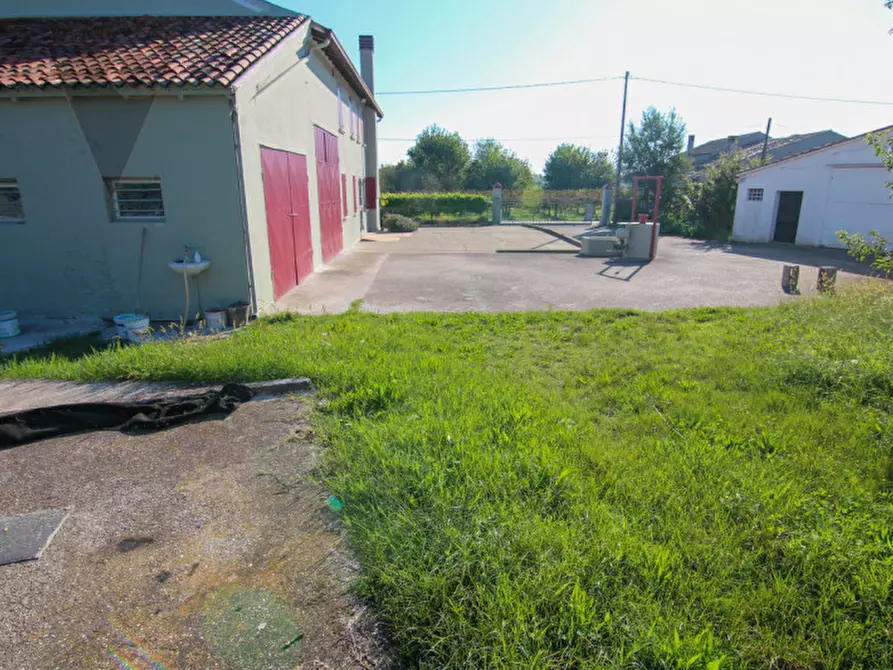 Immagine 6 di Casa indipendente in vendita  in Via Roma a Codevigo