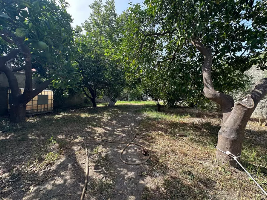 Immagine 28 di Casa indipendente in vendita  in Via Camerelle,5-6 a Gualtieri Sicaminò