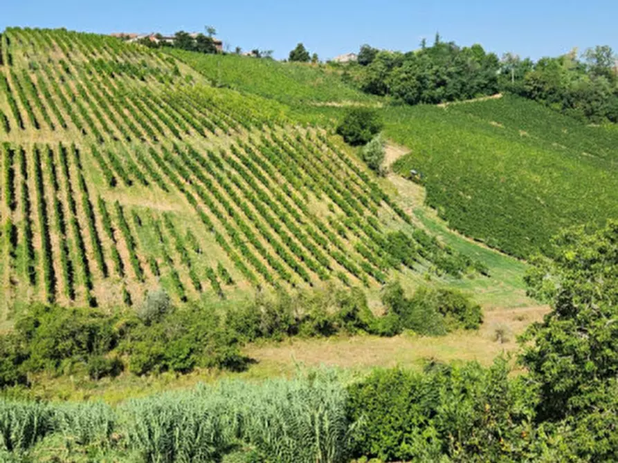 Immagine 6 di Casa indipendente in vendita  in Via Roma a Corvino San Quirico