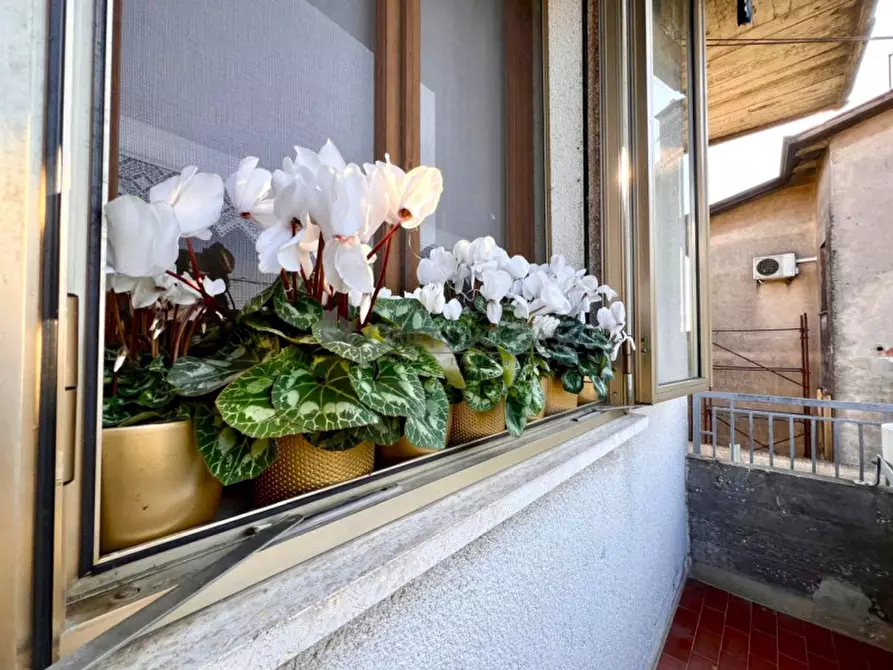 Immagine 11 di Casa bifamiliare in vendita  in Quartiere Sant'Antonio a Conselve