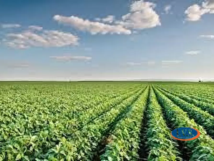 Immagine 2 di Terreno in vendita  in Via San Lorenzo 4 a Veggiano