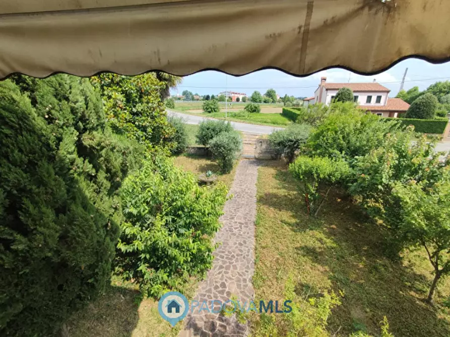 Immagine 10 di Casa indipendente in vendita  in Via San Giorgio, 4 a Albignasego