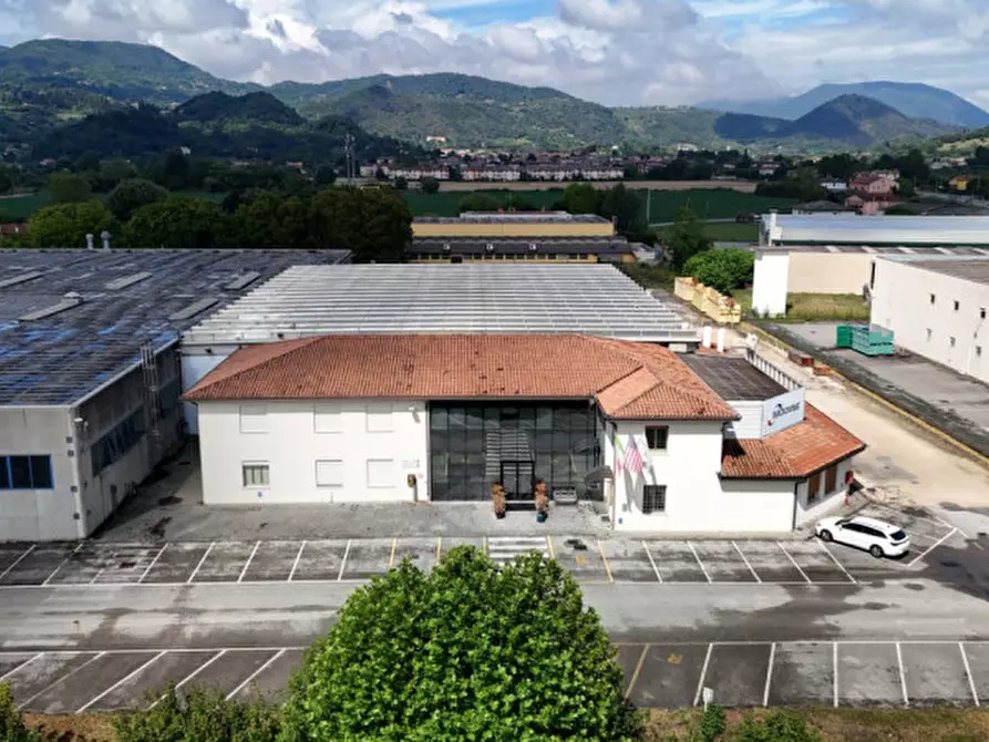 Immagine 4 di Capannone industriale in vendita  a Torreglia