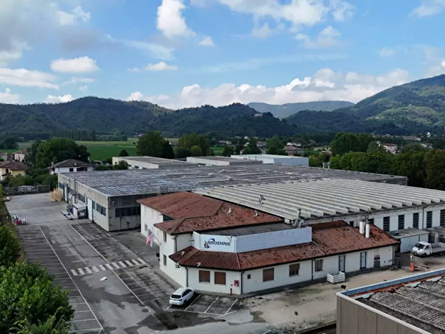 Immagine 5 di Capannone industriale in vendita  a Torreglia