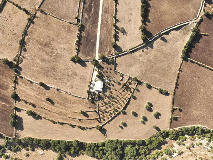 Immagine 22 di Rustico / casale in vendita  in Via Comunale Passo Parrino Ganzeria Abremi a Modica