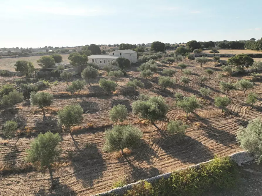 Immagine 23 di Rustico / casale in vendita  in Via Comunale Passo Parrino Ganzeria Abremi a Modica