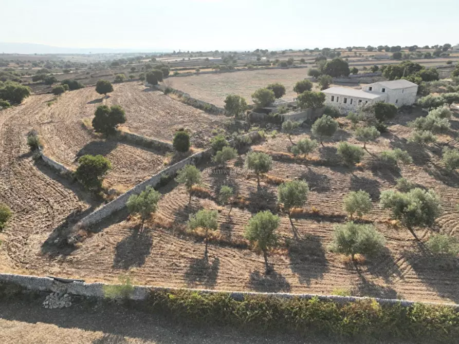 Immagine 24 di Rustico / casale in vendita  in Via Comunale Passo Parrino Ganzeria Abremi a Modica