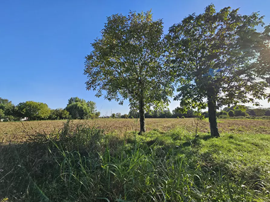 Immagine 2 di Terreno in vendita  in VIA POISE a Borgo Veneto