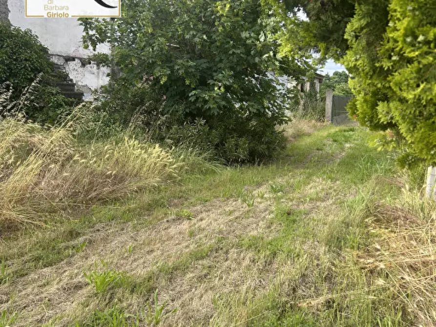 Immagine 3 di Terreno in vendita  a Masi