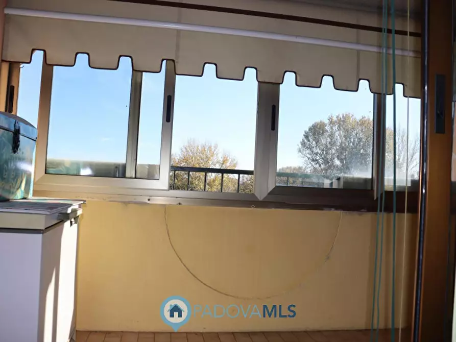 Immagine 30 di Appartamento in vendita  in via ragazzi del 99 a Padova