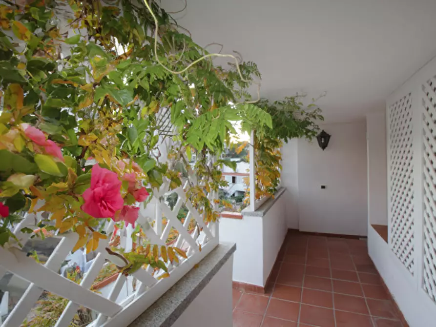 Immagine 8 di Appartamento in vendita  in via fontana umbrina a Olbia