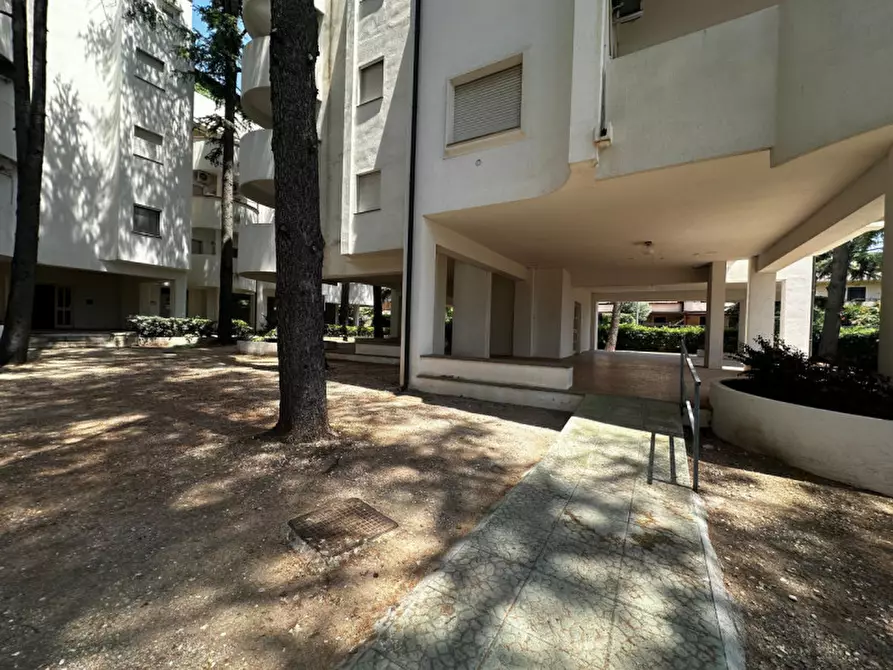 Immagine 37 di Appartamento in vendita  in contrada botterio a Montauro