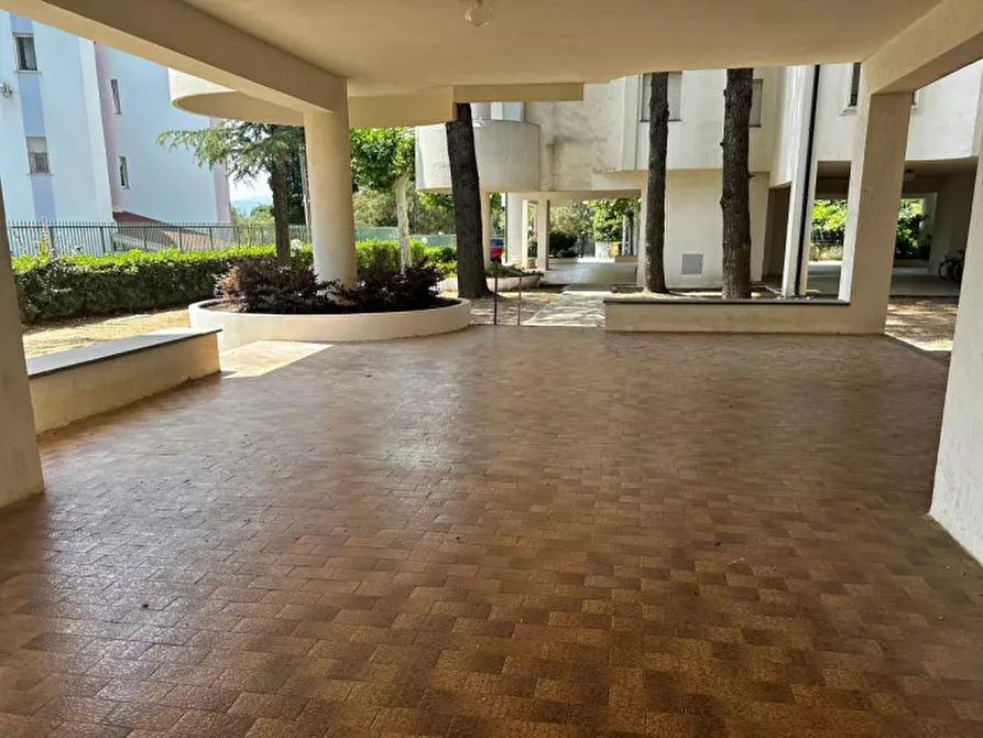 Immagine 38 di Appartamento in vendita  in contrada botterio a Montauro