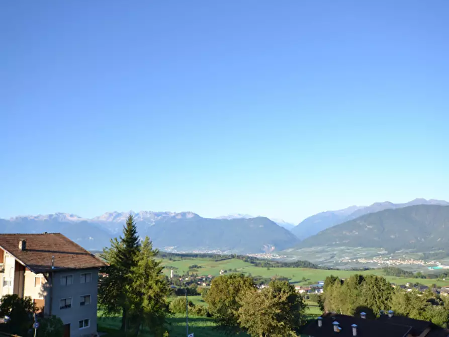 Immagine 10 di Appartamento in vendita  a Ronzone