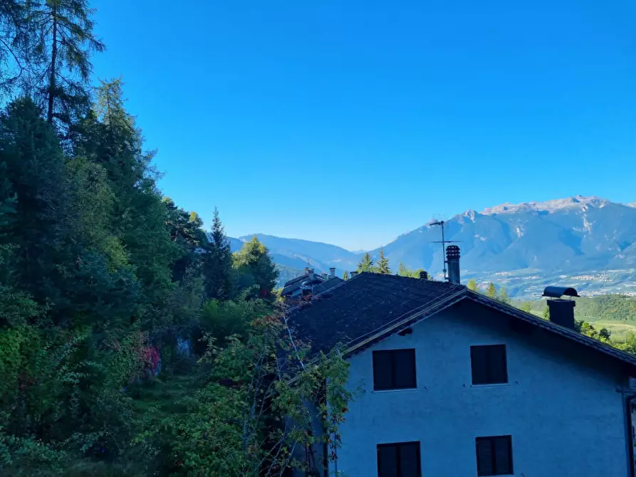 Immagine 17 di Appartamento in vendita  a Predaia