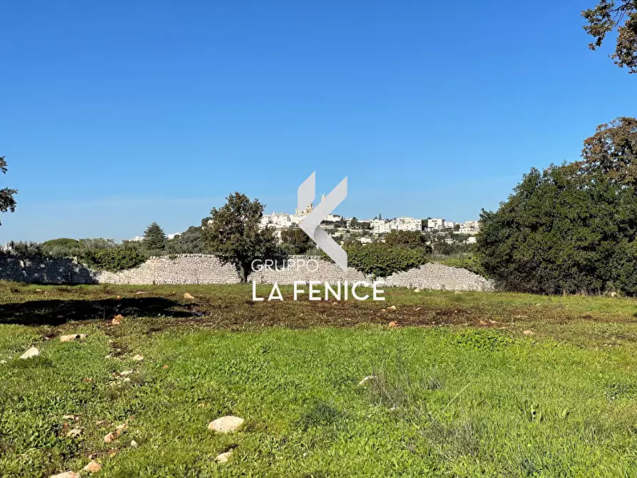 Immagine 1 di Terreno in vendita  in CONTRADA GROFOLEO a Locorotondo